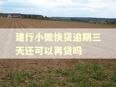 建行小微快贷逾期三天还可以再贷吗 建行小微快贷逾期三天还可以再贷吗