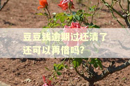 豆豆钱逾期过还清了还可以再借吗? 豆豆钱逾期过还清了还可以再借吗?