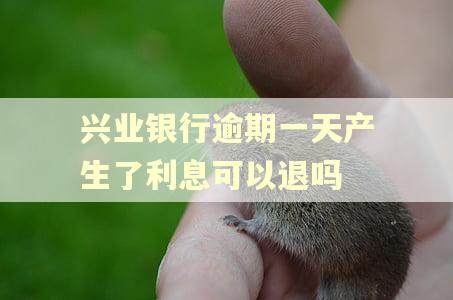 兴业银行逾期一天产生了利息可以退吗
