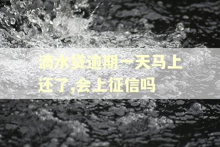 滴水贷逾期一天马上还了,会上征信吗