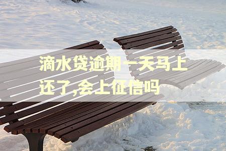 滴水贷逾期一天马上还了,会上征信吗