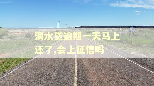 滴水贷逾期一天马上还了,会上征信吗 滴水贷逾期一天马上还了,会上征信吗