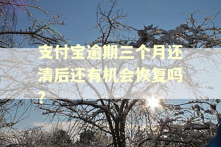 支付宝逾期三个月还清后还有机会恢复吗?