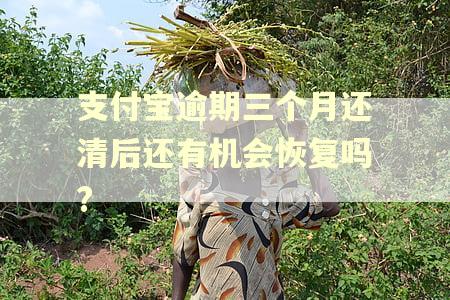 支付宝逾期三个月还清后还有机会恢复吗?