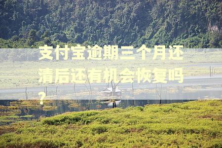 支付宝逾期三个月还清后还有机会恢复吗?