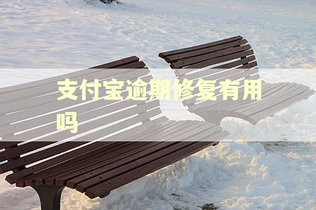 支付宝逾期修复有用吗