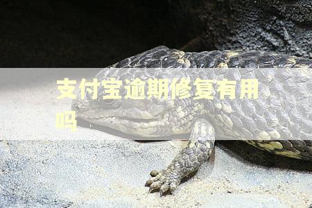 支付宝逾期修复有用吗