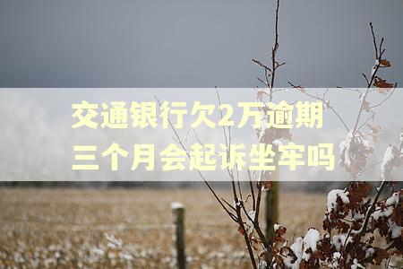 交通银行欠2万逾期三个月会起诉坐牢吗