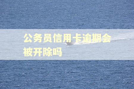 公务员信用卡逾期会被开除吗 公务员信用卡逾期会被开除吗