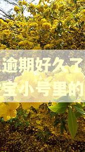 花呗逾期好久了会扣支付宝小号里的钱吗