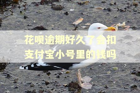 花呗逾期好久了会扣支付宝小号里的钱吗