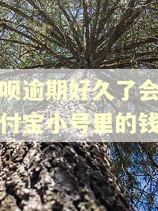 花呗逾期好久了会扣支付宝小号里的钱吗
