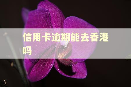 信用卡逾期能去香港吗 信用卡逾期能去香港吗