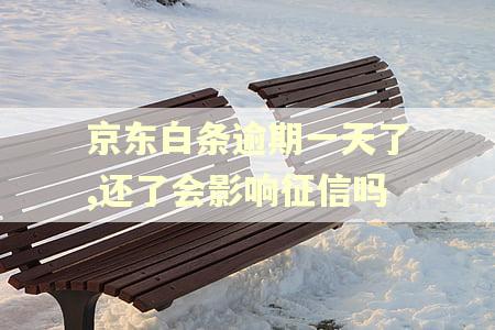京东白条逾期一天了,还了会影响征信吗
