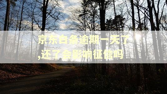 京东白条逾期一天了,还了会影响征信吗