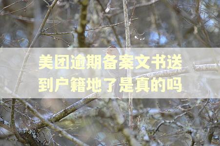 美团逾期备案文书送到户籍地了是真的吗