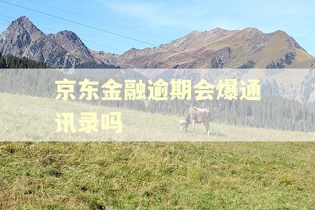 京东金融逾期会爆通讯录吗