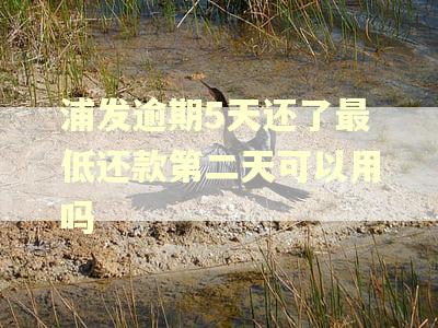 浦发逾期5天还了最低还款第二天可以用吗