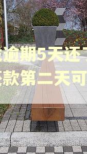 浦发逾期5天还了最低还款第二天可以用吗