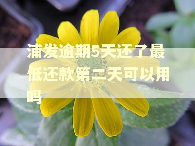 浦发逾期5天还了最低还款第二天可以用吗 浦发逾期5天还了最低还款第二天可以用吗