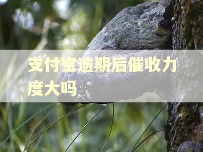 支付宝逾期后催收力度大吗