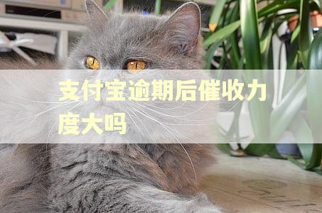 支付宝逾期后催收力度大吗