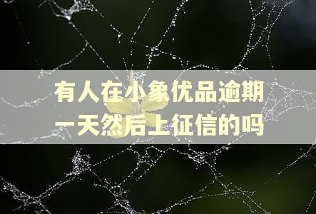 有人在小象优品逾期一天然后上征信的吗