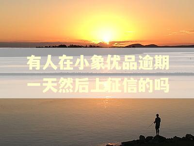 有人在小象优品逾期一天然后上征信的吗