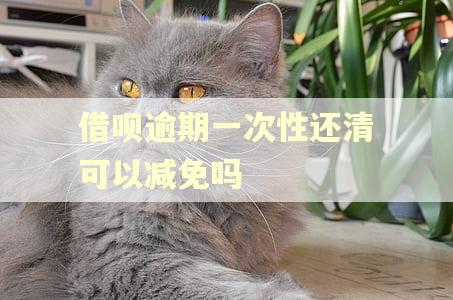 借呗逾期一次性还清可以减免吗