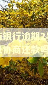 招商银行逾期2年还可以协商还款吗