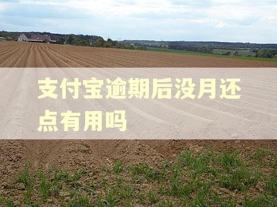 支付宝逾期后没月还点有用吗