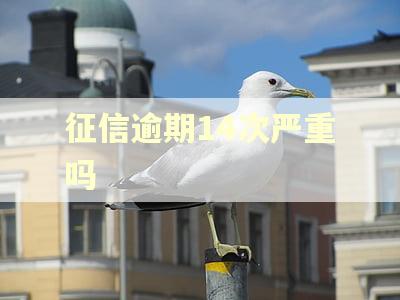 征信逾期14次严重吗