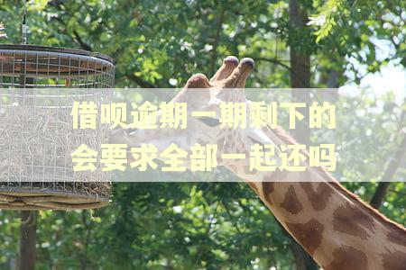 借呗逾期一期剩下的会要求全部一起还吗