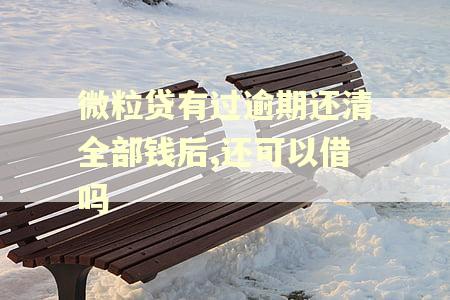 微粒贷有过逾期还清全部钱后,还可以借吗