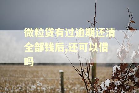微粒贷有过逾期还清全部钱后,还可以借吗