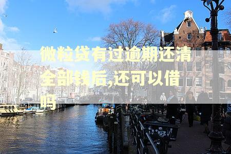 微粒贷有过逾期还清全部钱后,还可以借吗 微粒贷有过逾期还清全部钱后,还可以借吗