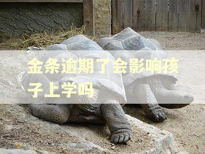金条逾期了会影响孩子上学吗