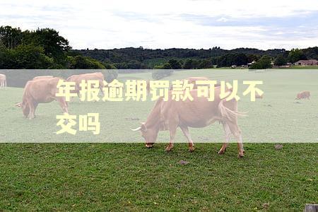 年报逾期罚款可以不交吗
