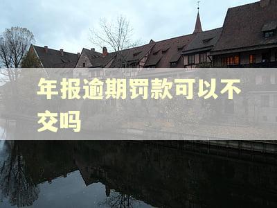 年报逾期罚款可以不交吗