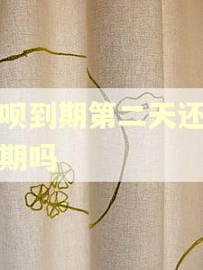 借呗到期第二天还算逾期吗