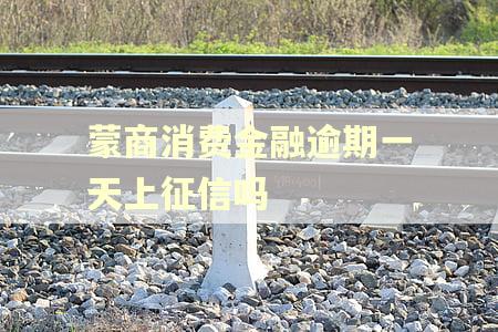 蒙商消费金融逾期一天上征信吗