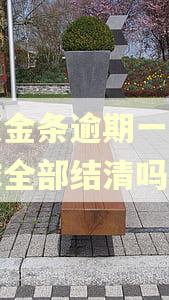 京东金条逾期一天会要求全部结清吗