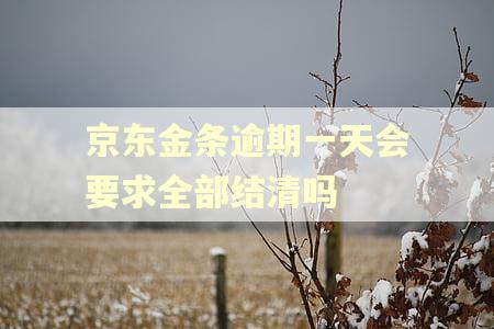 京东金条逾期一天会要求全部结清吗