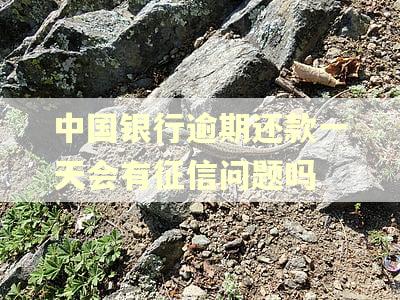 中国银行逾期还款一天会有征信问题吗 中国银行逾期还款一天会有征信问题吗