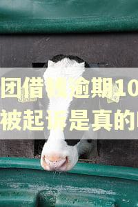 美团借钱逾期10天说被起诉是真的吗