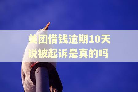 美团借钱逾期10天说被起诉是真的吗