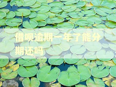 借呗逾期一年了能分期还吗