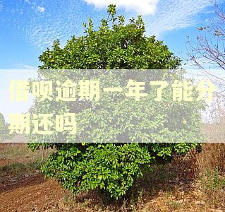 借呗逾期一年了能分期还吗