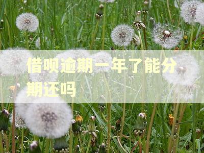 借呗逾期一年了能分期还吗