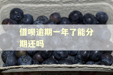 借呗逾期一年了能分期还吗 借呗逾期一年了能分期还吗
